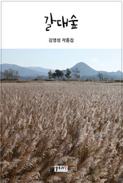 갈대숲