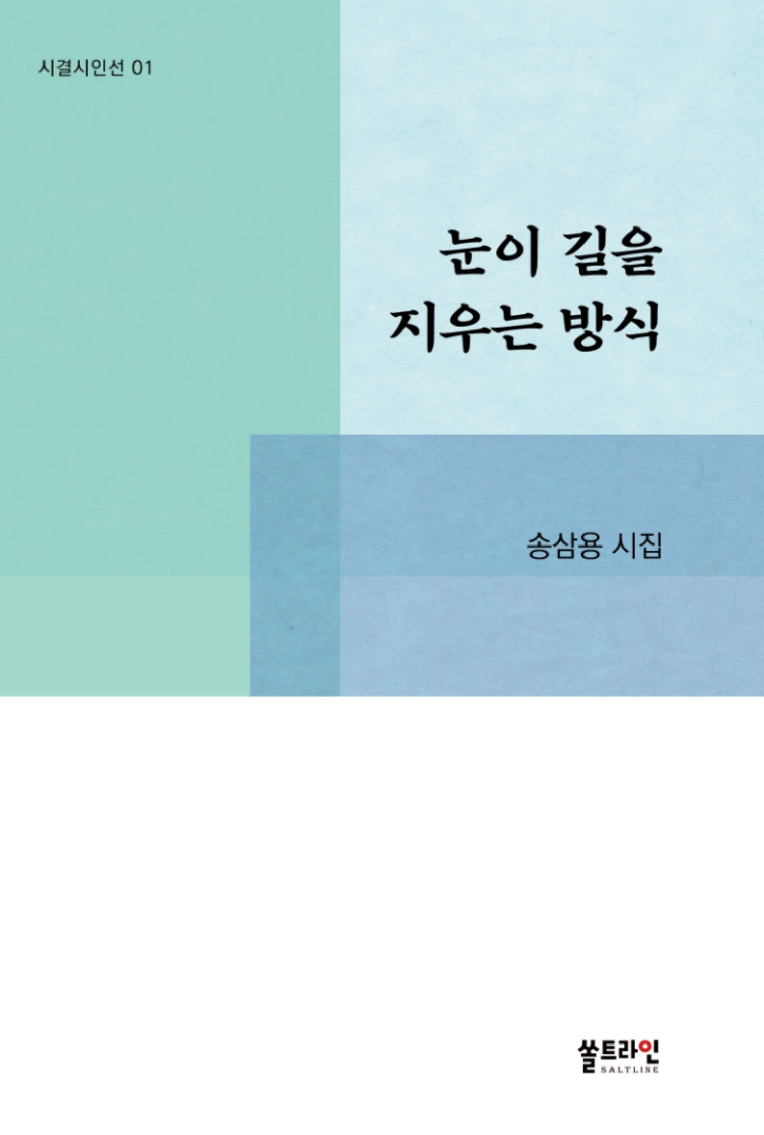 눈이 길을 지우는 방식(시결시인선 1)