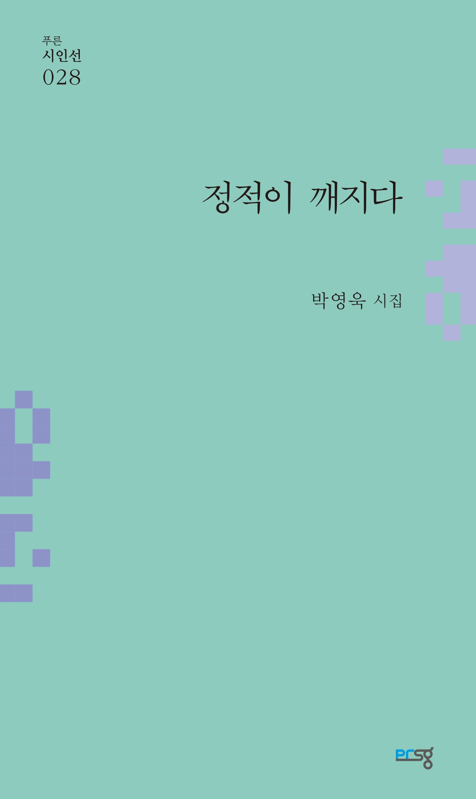 정적이 깨지다(푸른시인선 28)