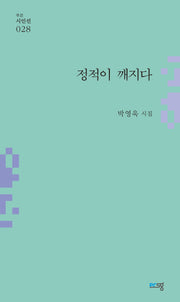 정적이 깨지다(푸른시인선 28)
