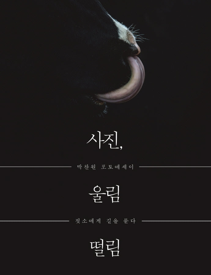 사진, 울림 떨림