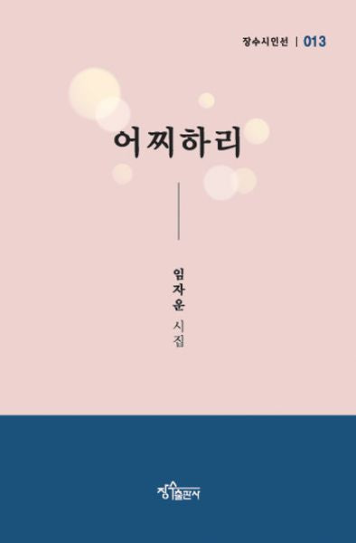 어찌하리(장수시인선 13)