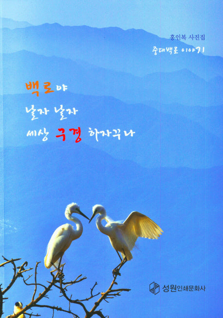백로야 날자 날자 세상 구경 하자꾸나