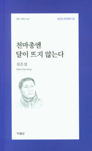천마총엔 달이 뜨지 않는다(성원 기획선 001)