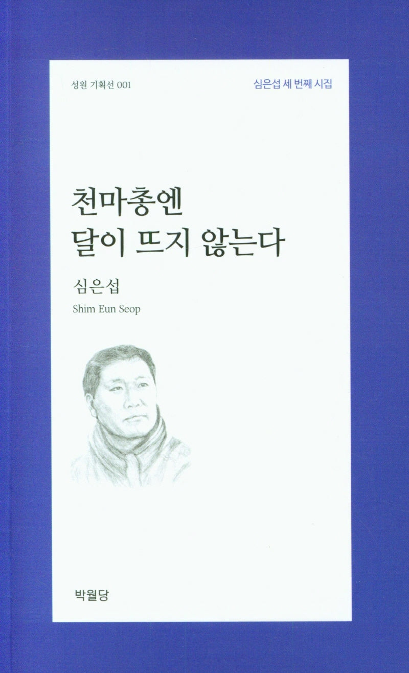 천마총엔 달이 뜨지 않는다(성원 기획선 001)