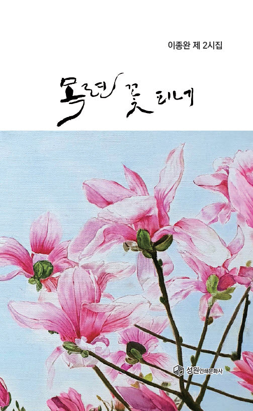 목련꽃이피네