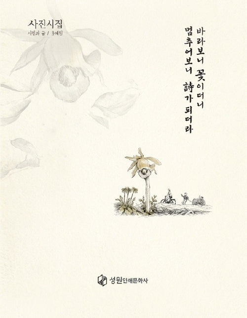 바라보니 꽃이더니 멈추어보니 시가 되더라(양장본 Hardcover)