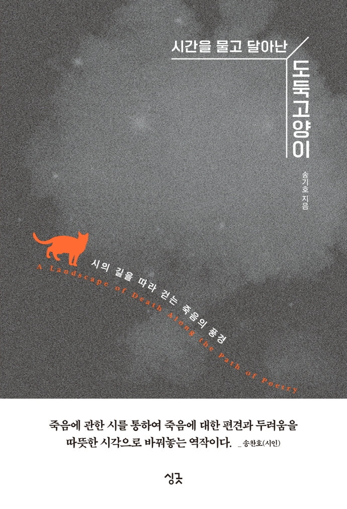 시간을 물고 달아난 도둑고양이(양장본 Hardcover)