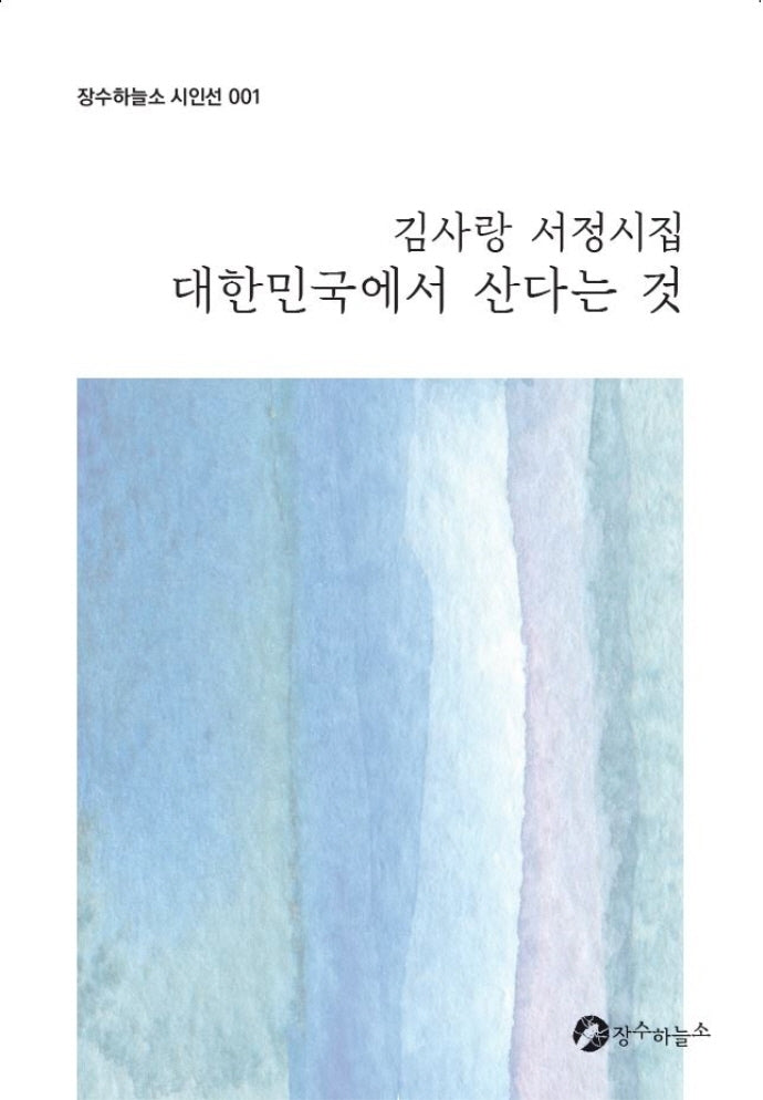 대한민국에서 산다는 것(장수하늘소 시인선 1)