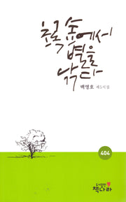 초록 숲에서 별을 낚다(404)