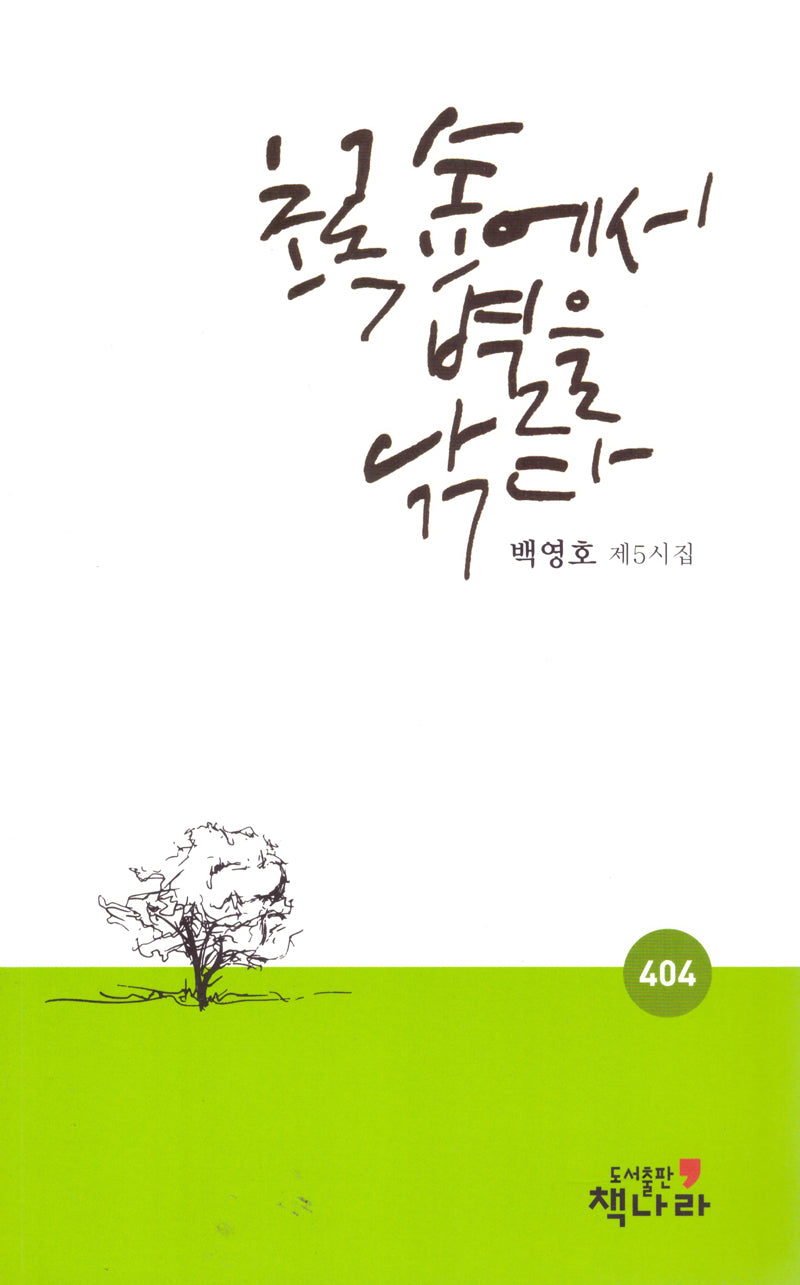 초록 숲에서 별을 낚다(404)