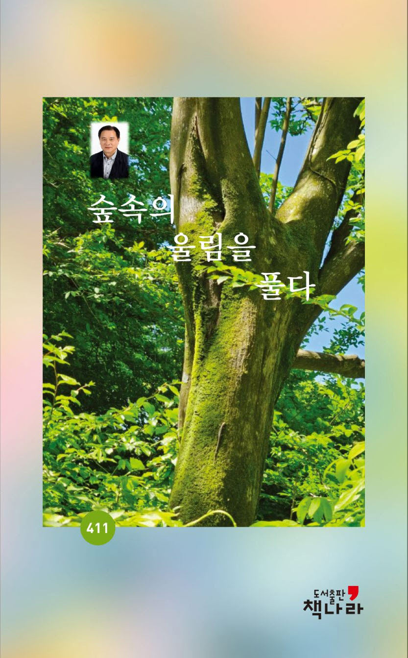 숲속의 울림을 풀다