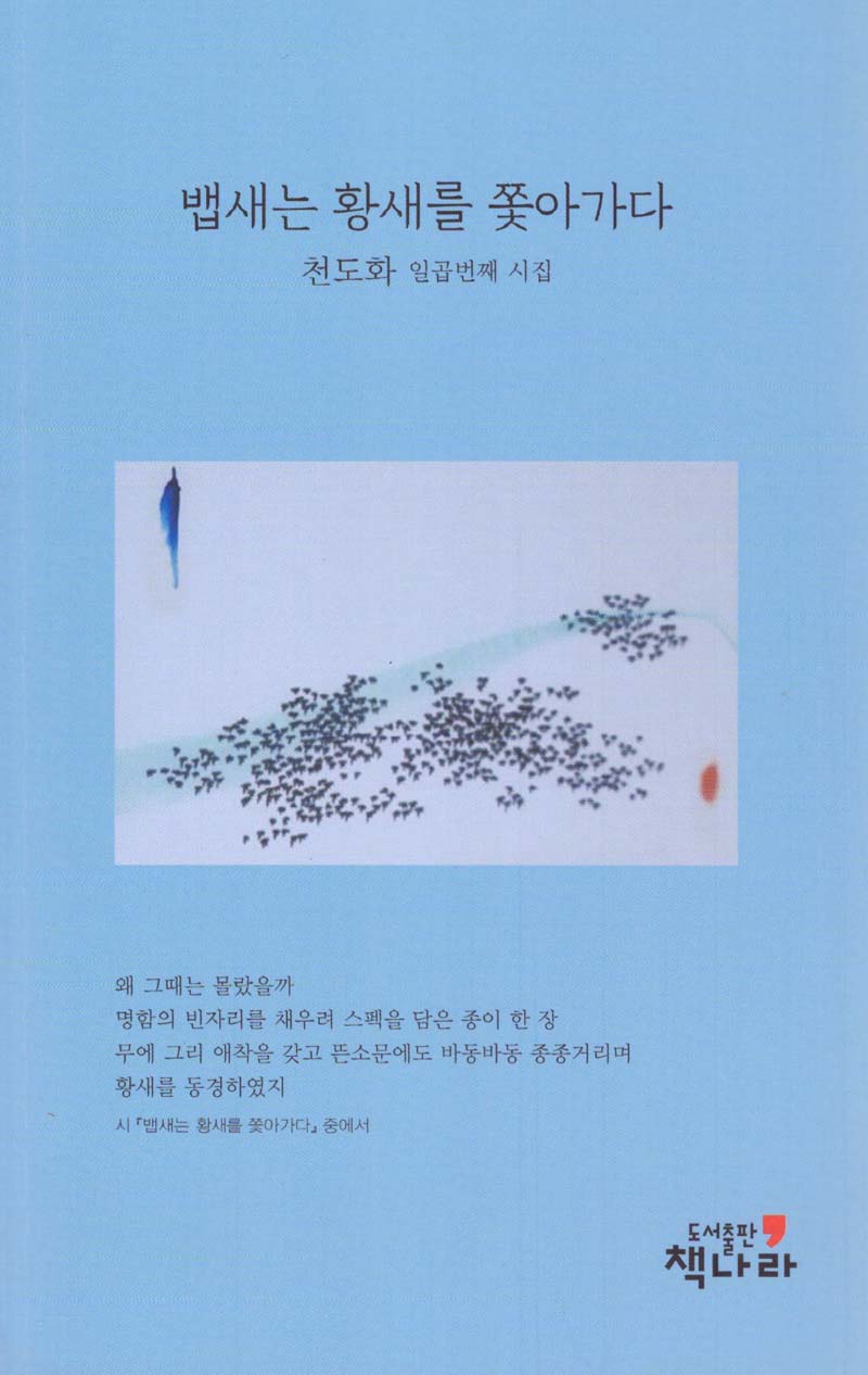 뱁새는 황새를 쫓아가다