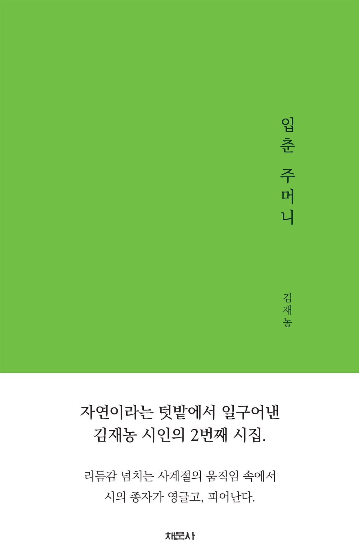 입춘 주머니(채문사 채문시집 8)
