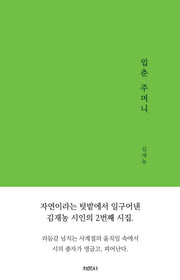 입춘 주머니(채문사 채문시집 8)