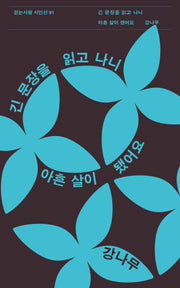 긴 문장을 읽고 나니 아흔 살이 됐어요(걷는사람 시인선 91)