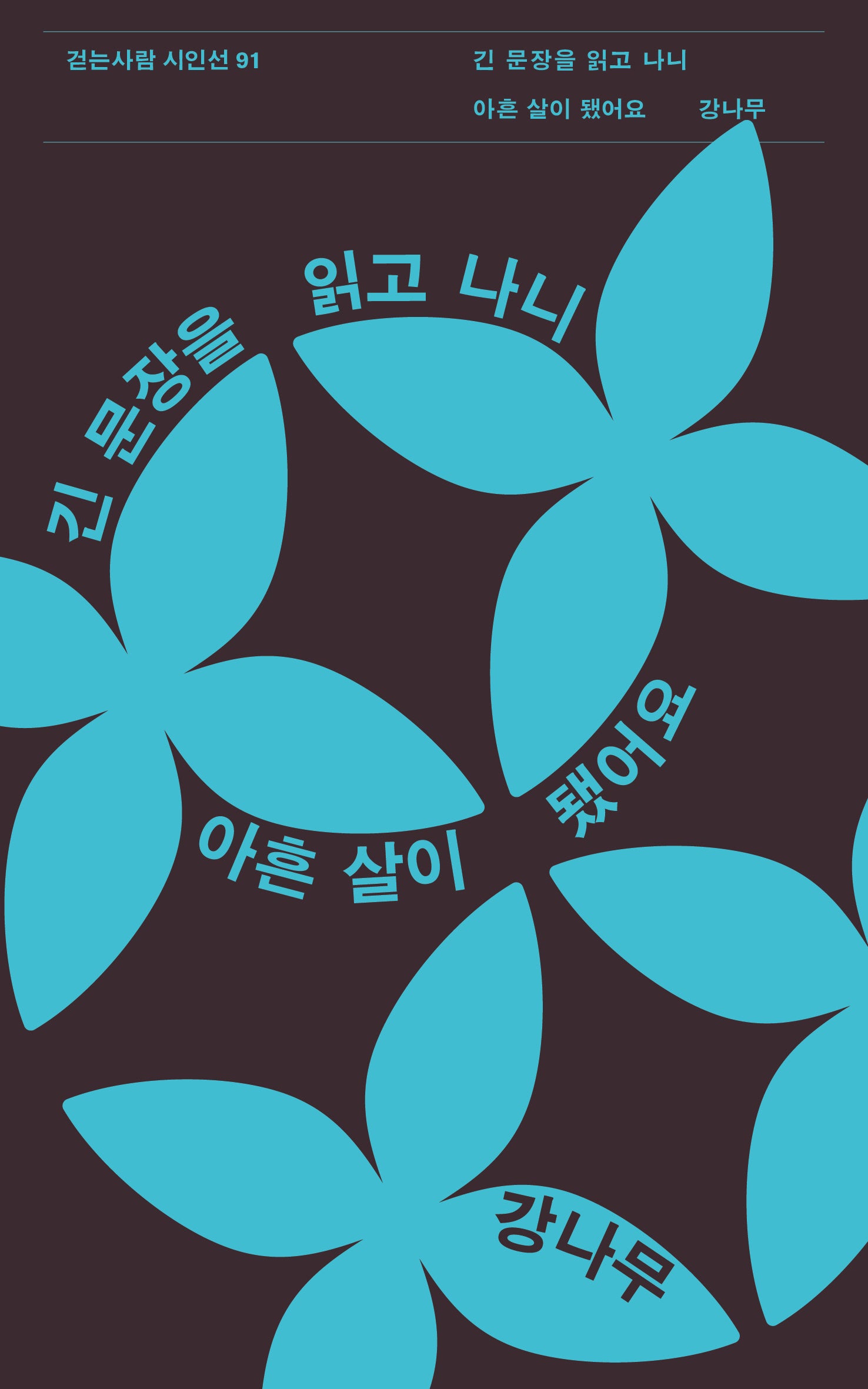 긴 문장을 읽고 나니 아흔 살이 됐어요(걷는사람 시인선 91)