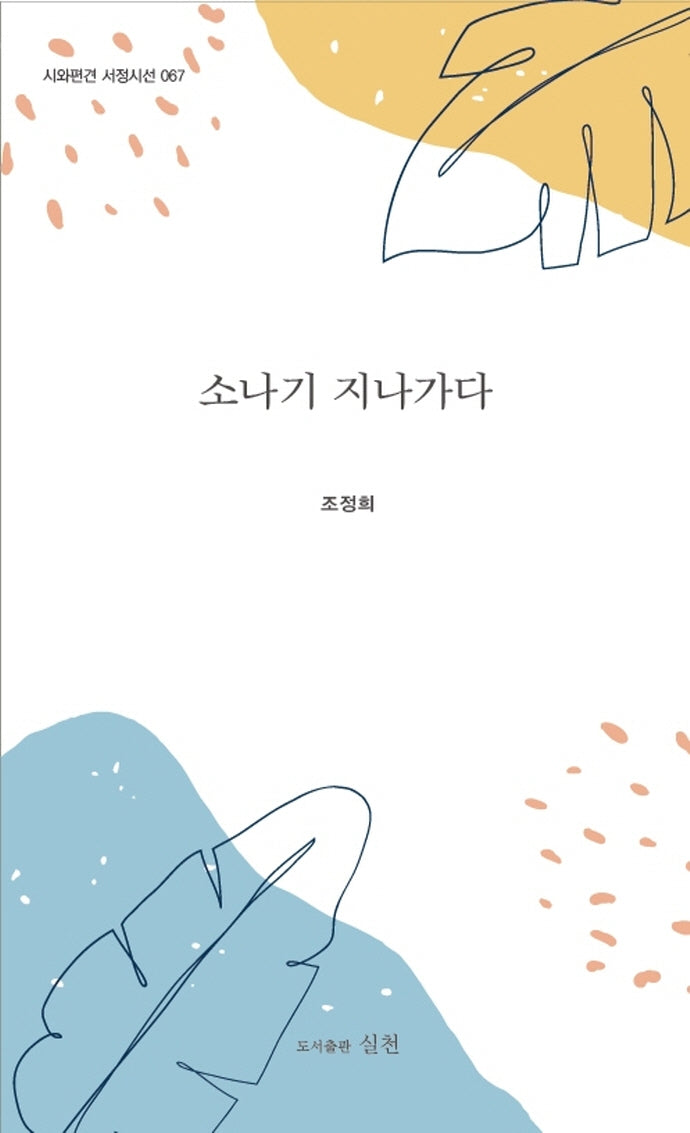 소나기 지나가다(시와편견 서정시선 67)
