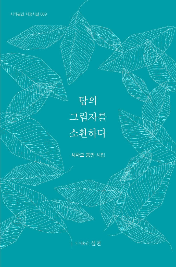탑의 그림자를 소환하다(시와편견 서정시선 69)