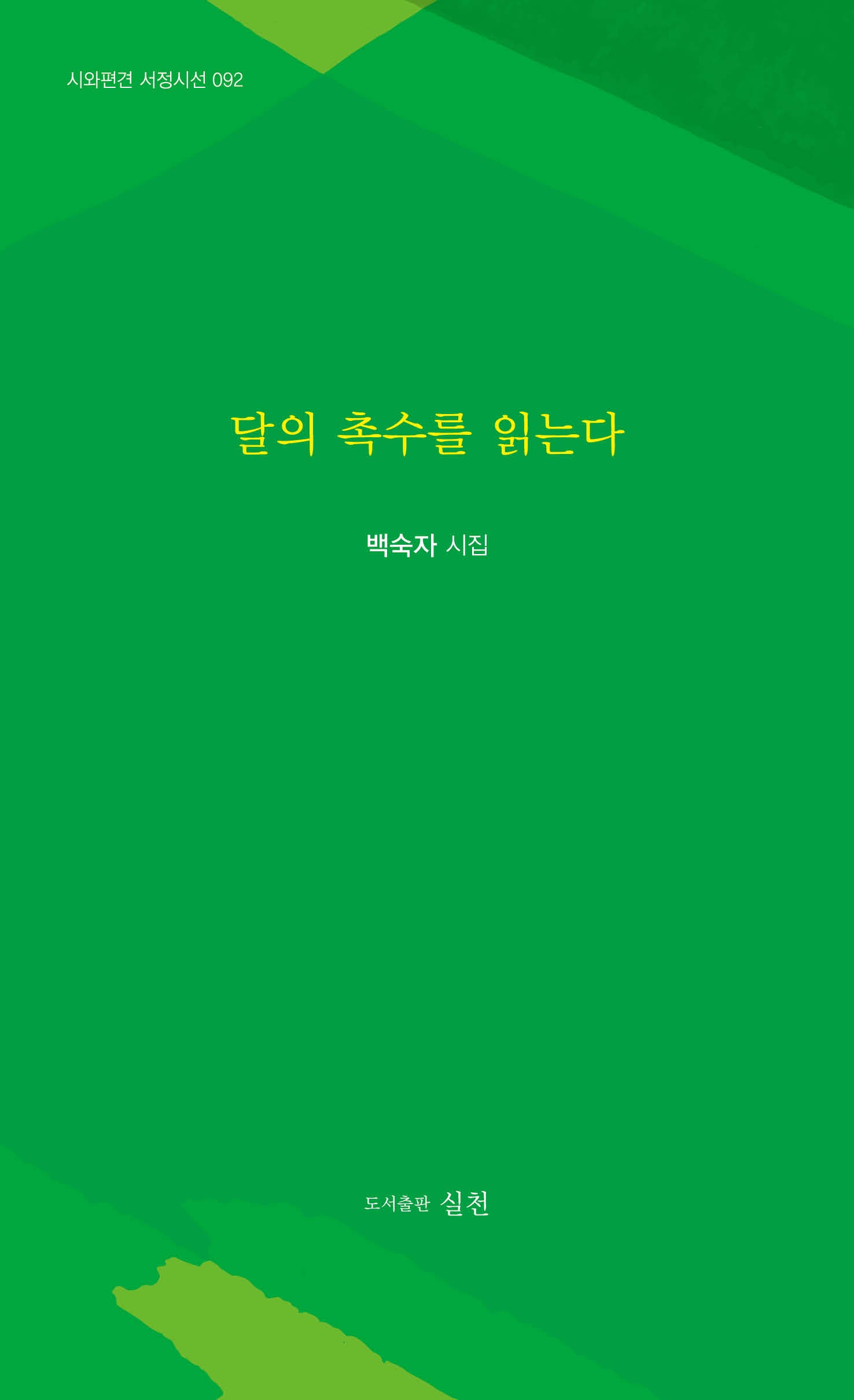 달의 촉수를 읽는다(시와편견 서정시선 92)
