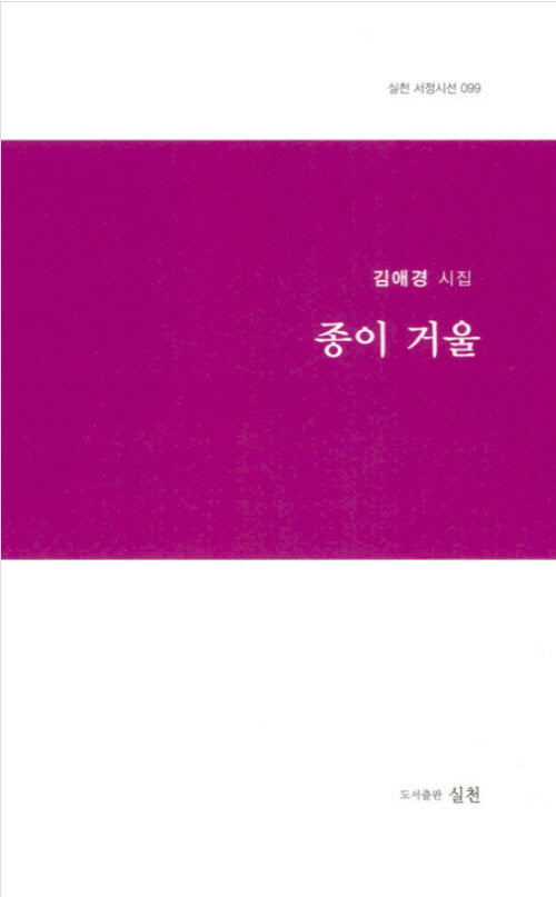 종이 거울(실천 서정시선 99)