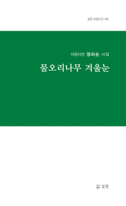 물오리나무 겨울눈(실천 서정시선 100)