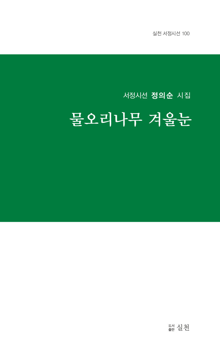 물오리나무 겨울눈(실천 서정시선 100)