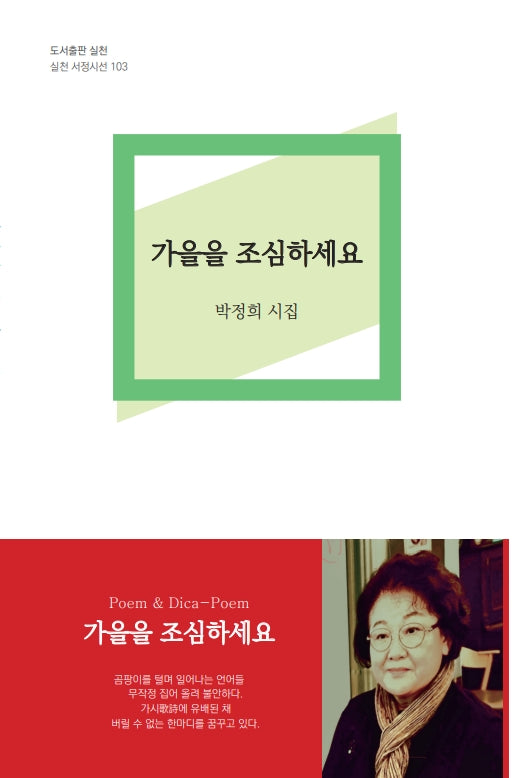 가을을 조심하세요(실천 서정시선 103)