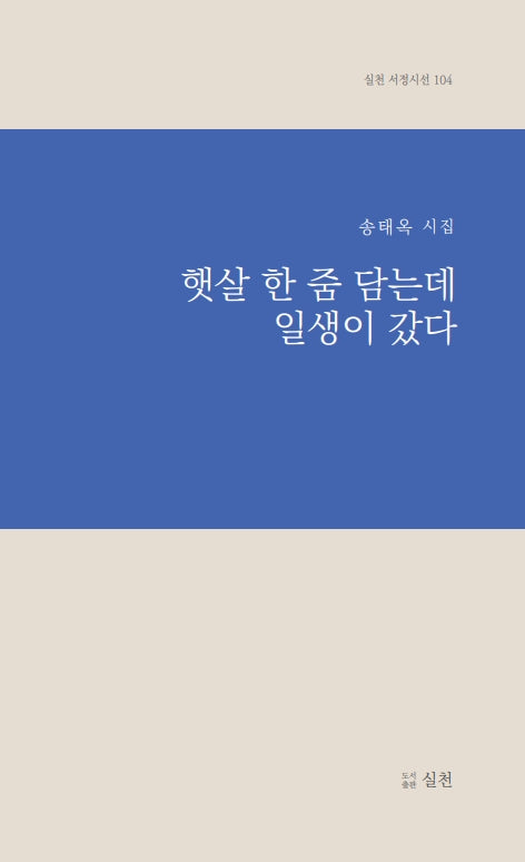 햇살 한 줌 담는데 일생이 갔다(실천 서정시선 104)