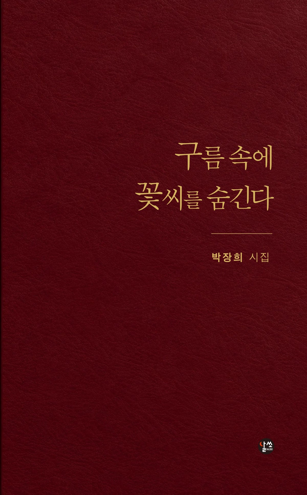 구름 속에 꽃씨를 숨긴다(달을쏘다 시선 31)