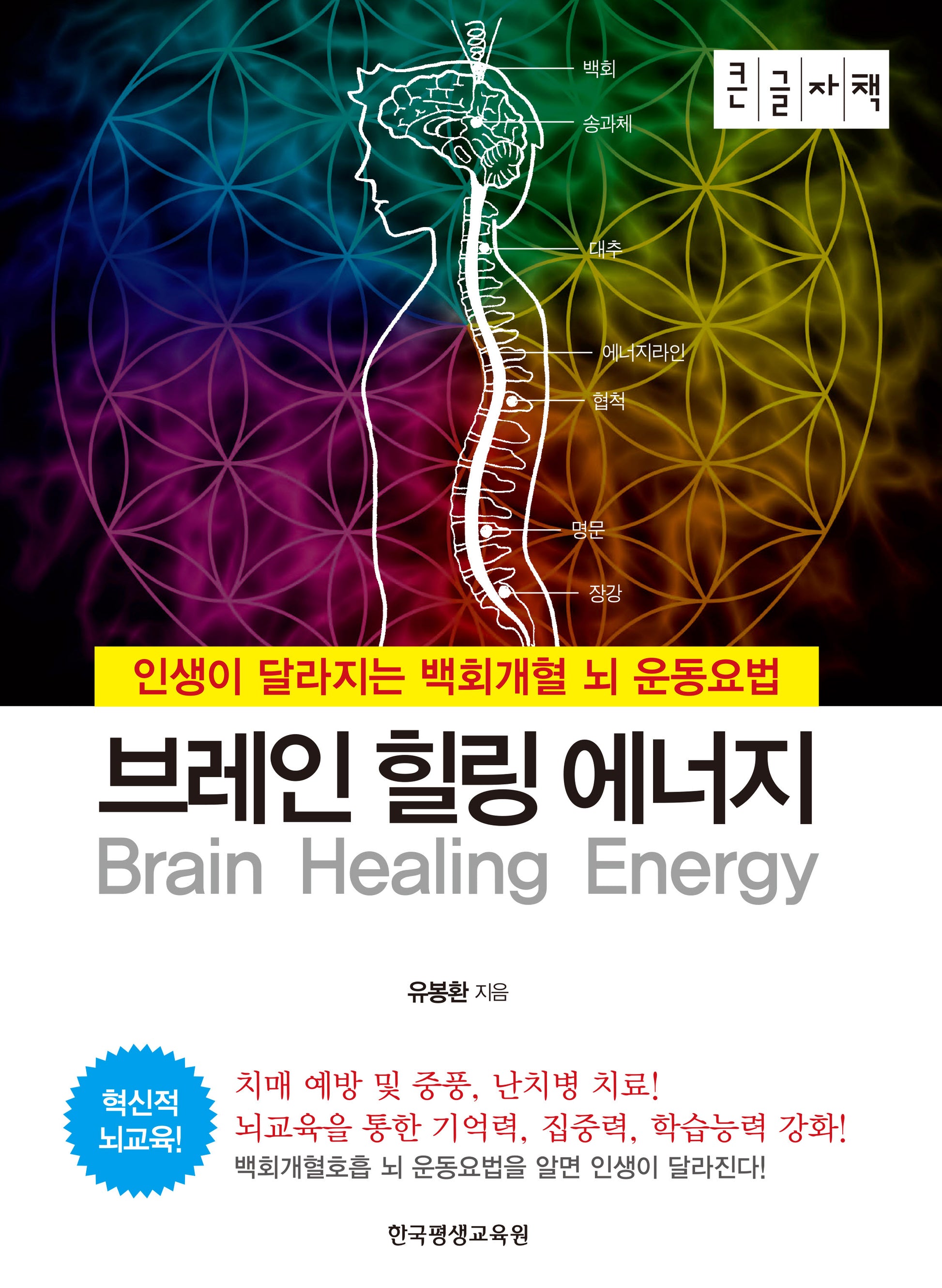 브레인 힐링 에너지(큰글자책)