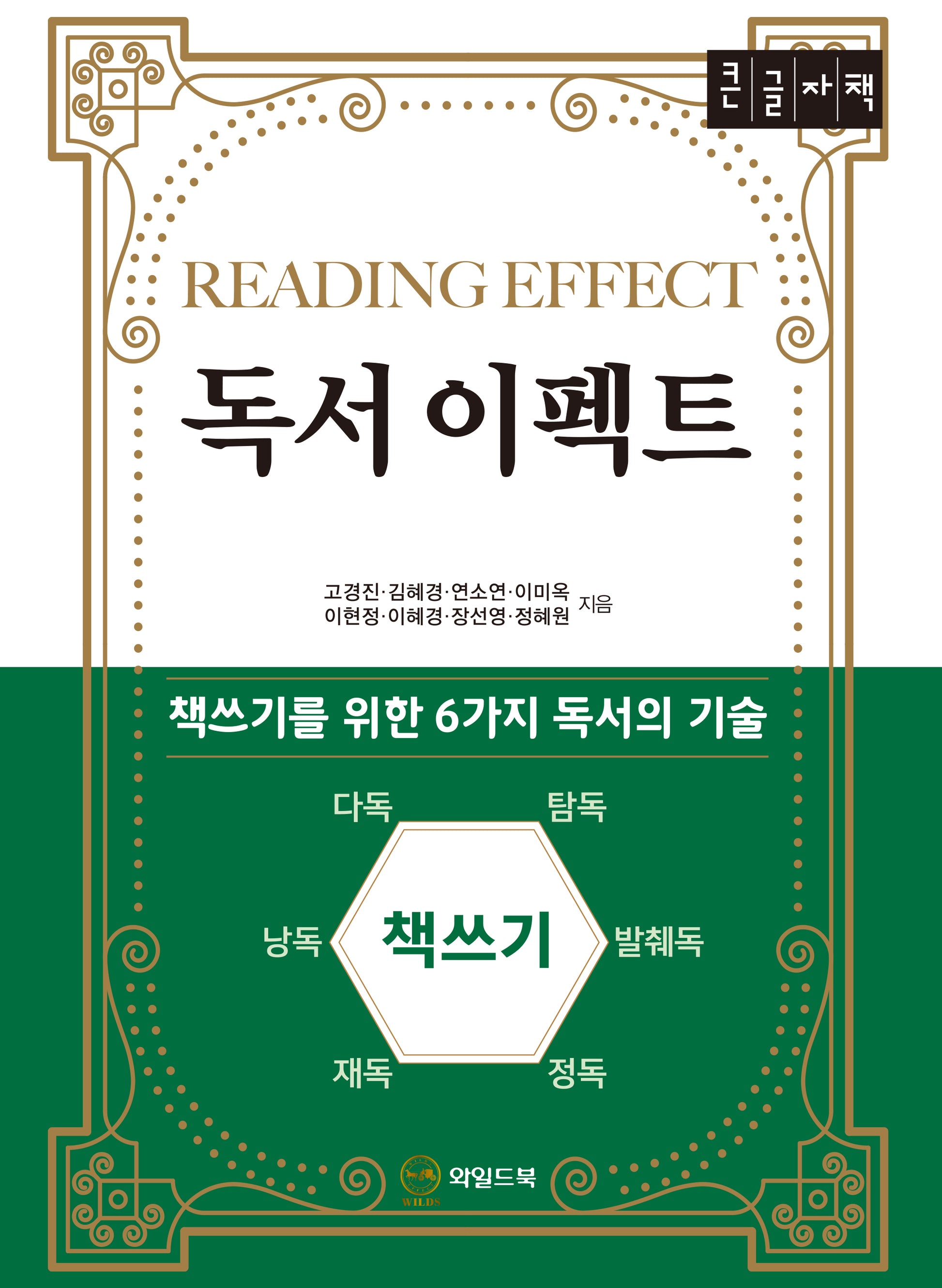 독서 이펙트(큰글자도서)