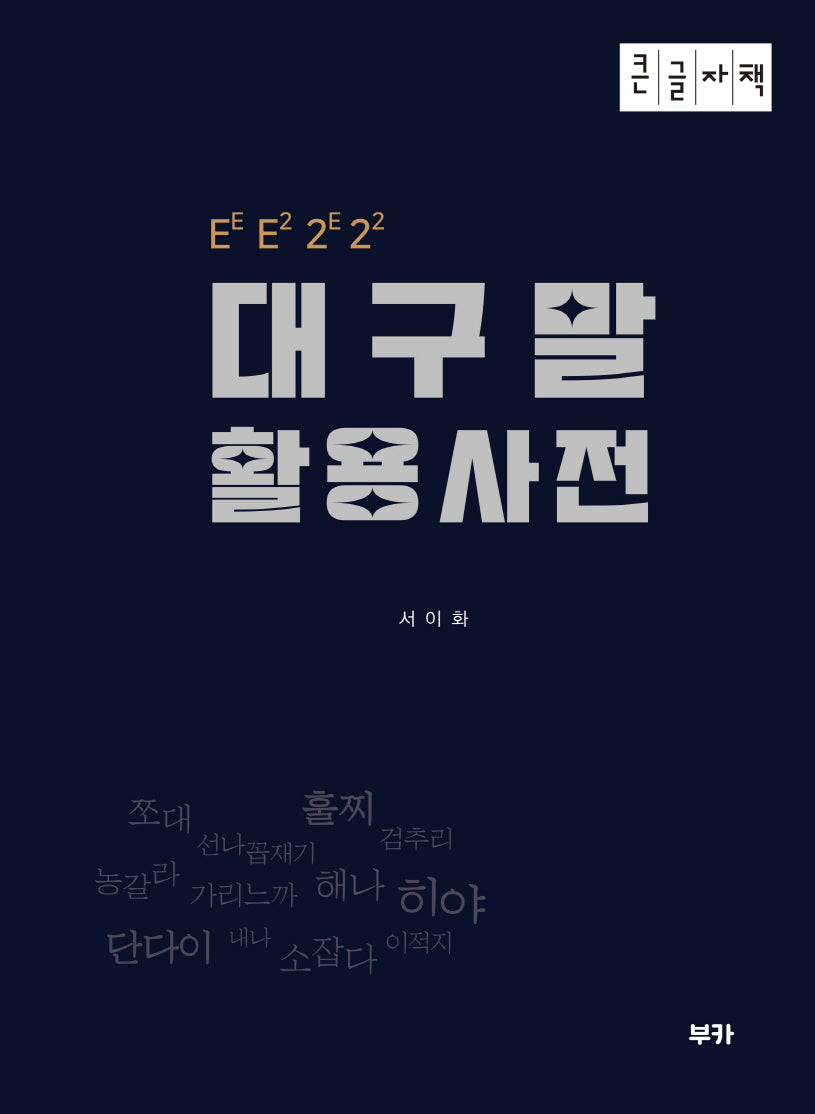 대구말 활용 사전(큰글자책)