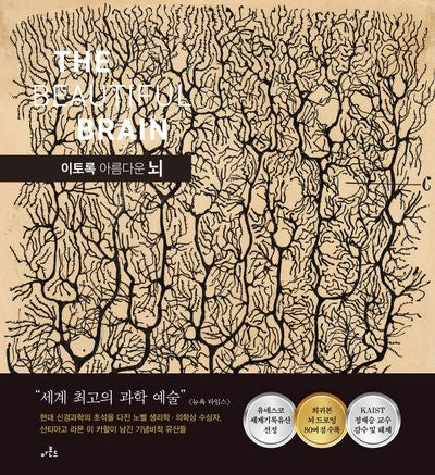 이토록 아름다운 뇌(양장본 Hardcover)