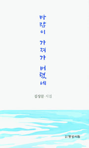바람이 가져가 버렸네