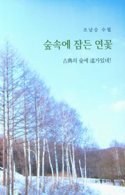 숲속에 잠든 연꽃