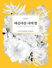 아름다운 나의 별