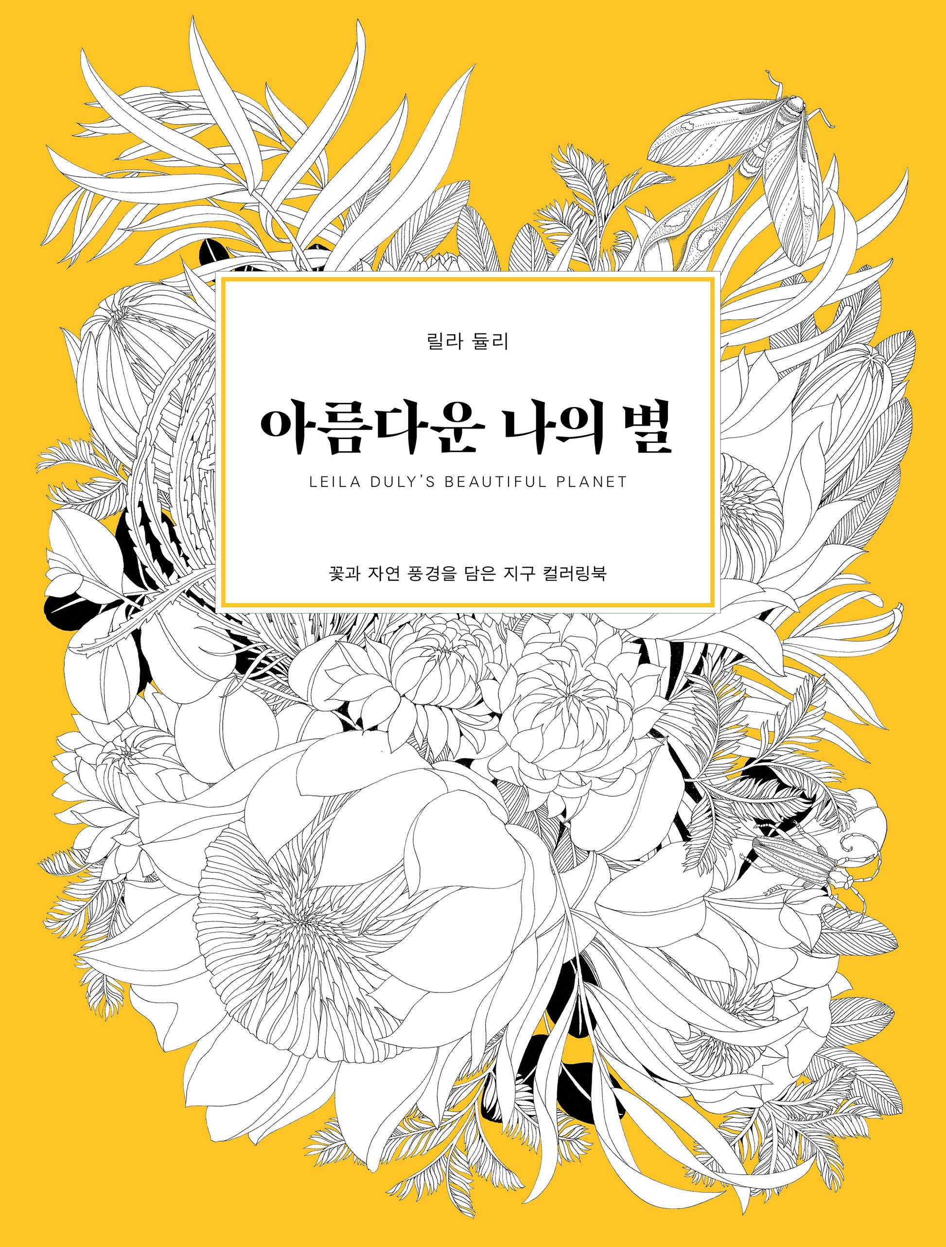 아름다운 나의 별
