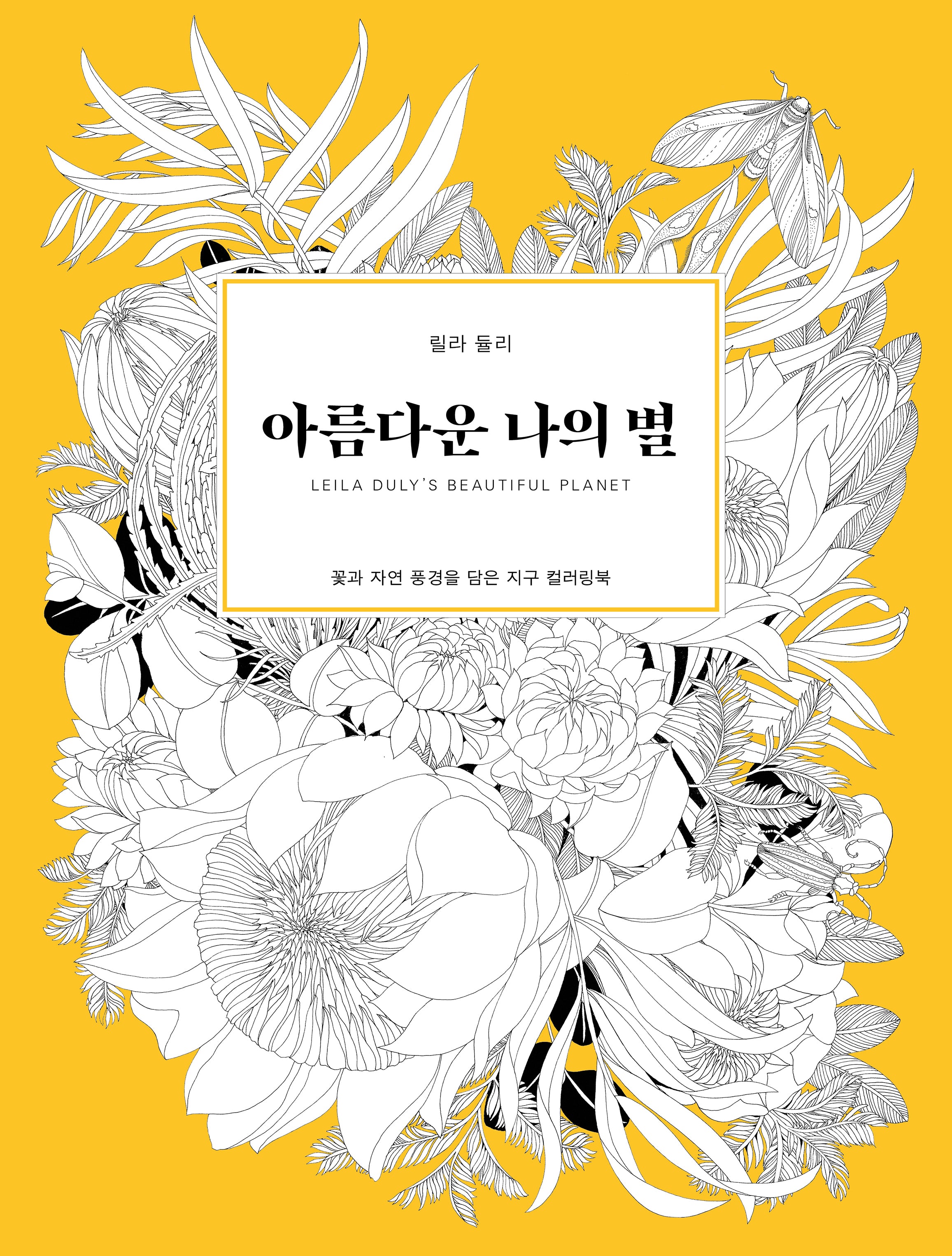 아름다운 나의 별