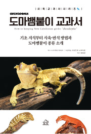도마뱀붙이 교과서(사육교과서 시리즈)