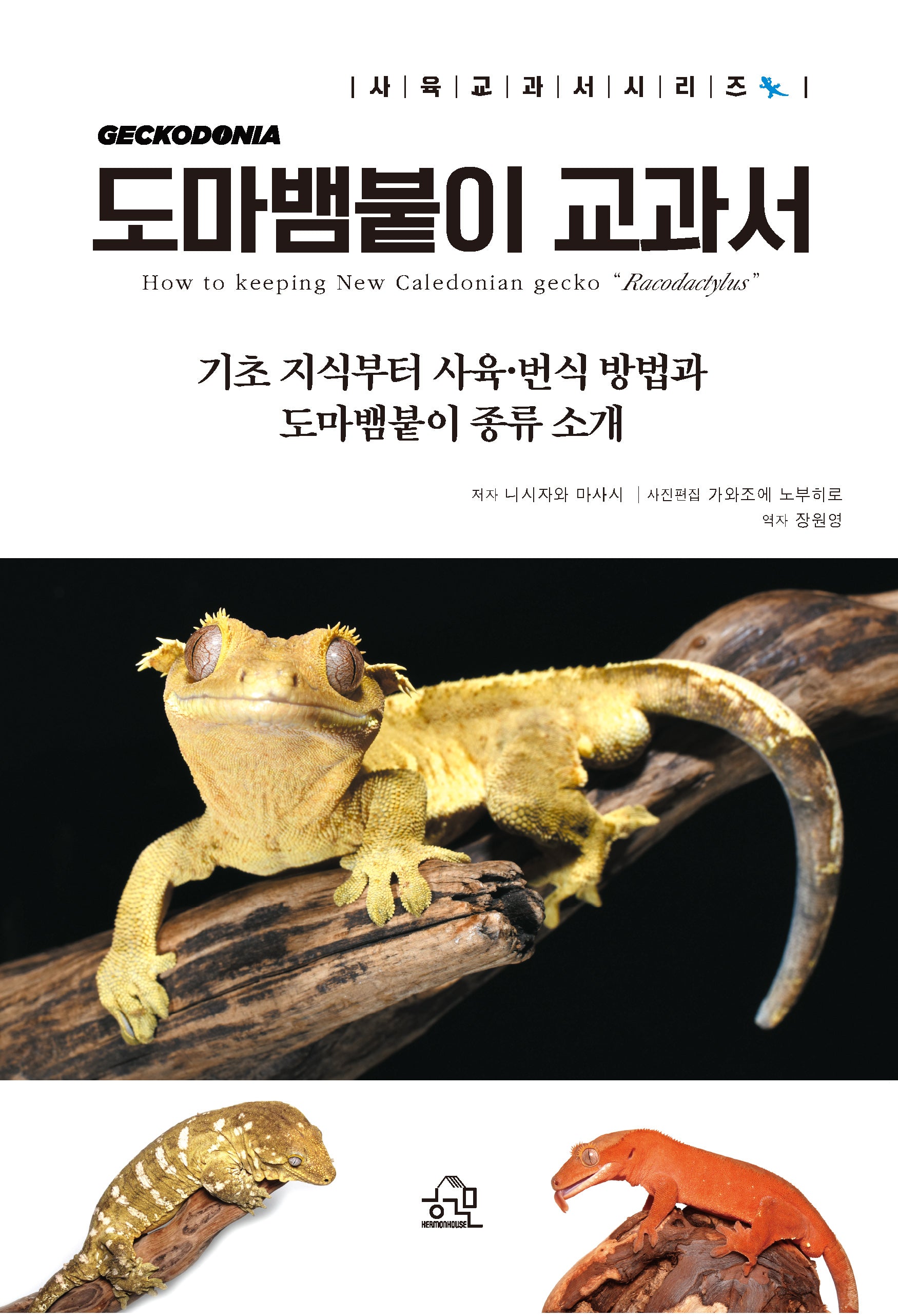 도마뱀붙이 교과서(사육교과서 시리즈)