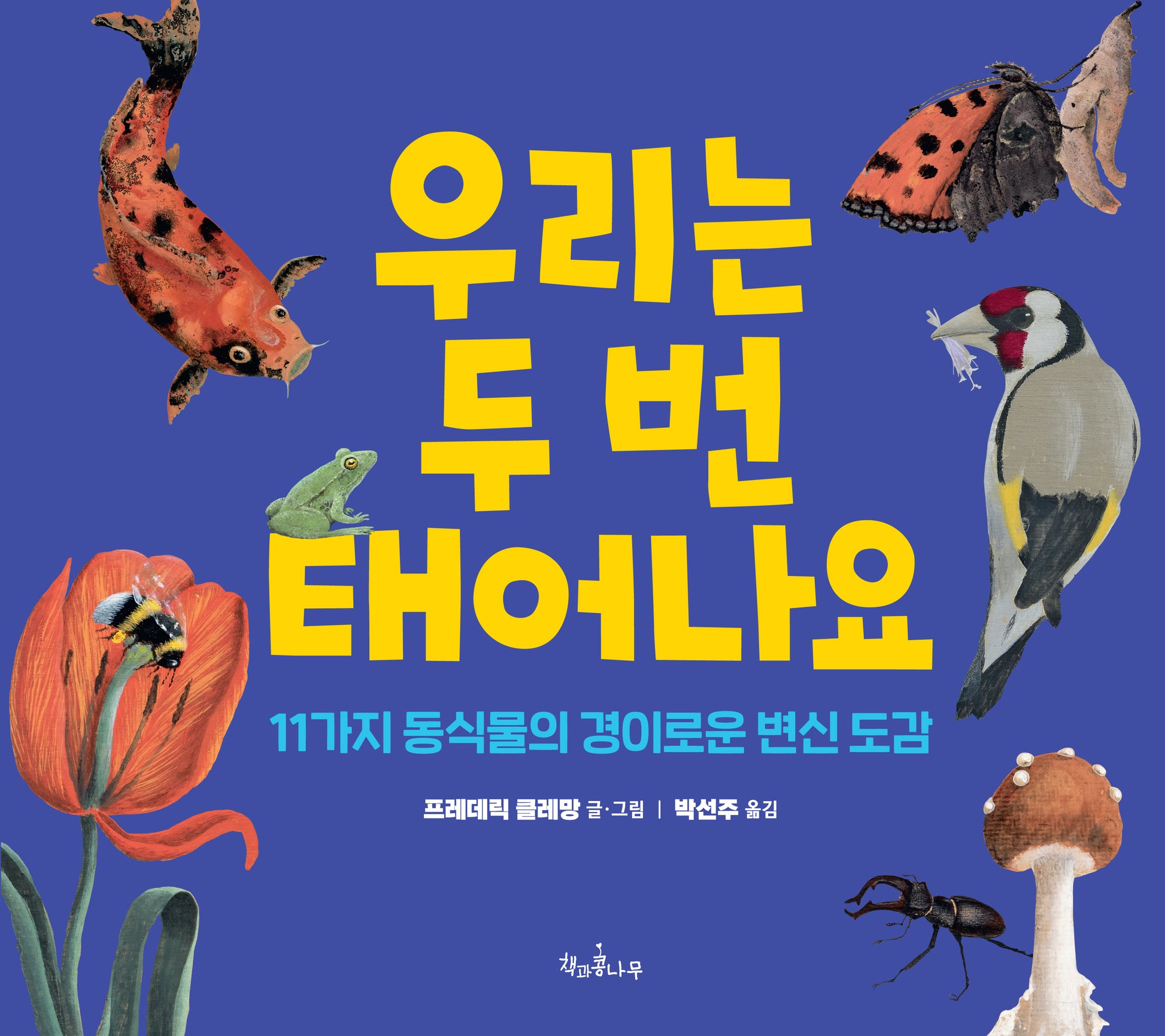 우리는 두 번 태어나요(양장본 Hardcover)
