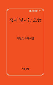 생이 빛나는 오늘(서정시학 서정시 154)(양장본 Hardcover)