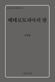 헤테로토피아의 밤(서정시학 비평선 42)