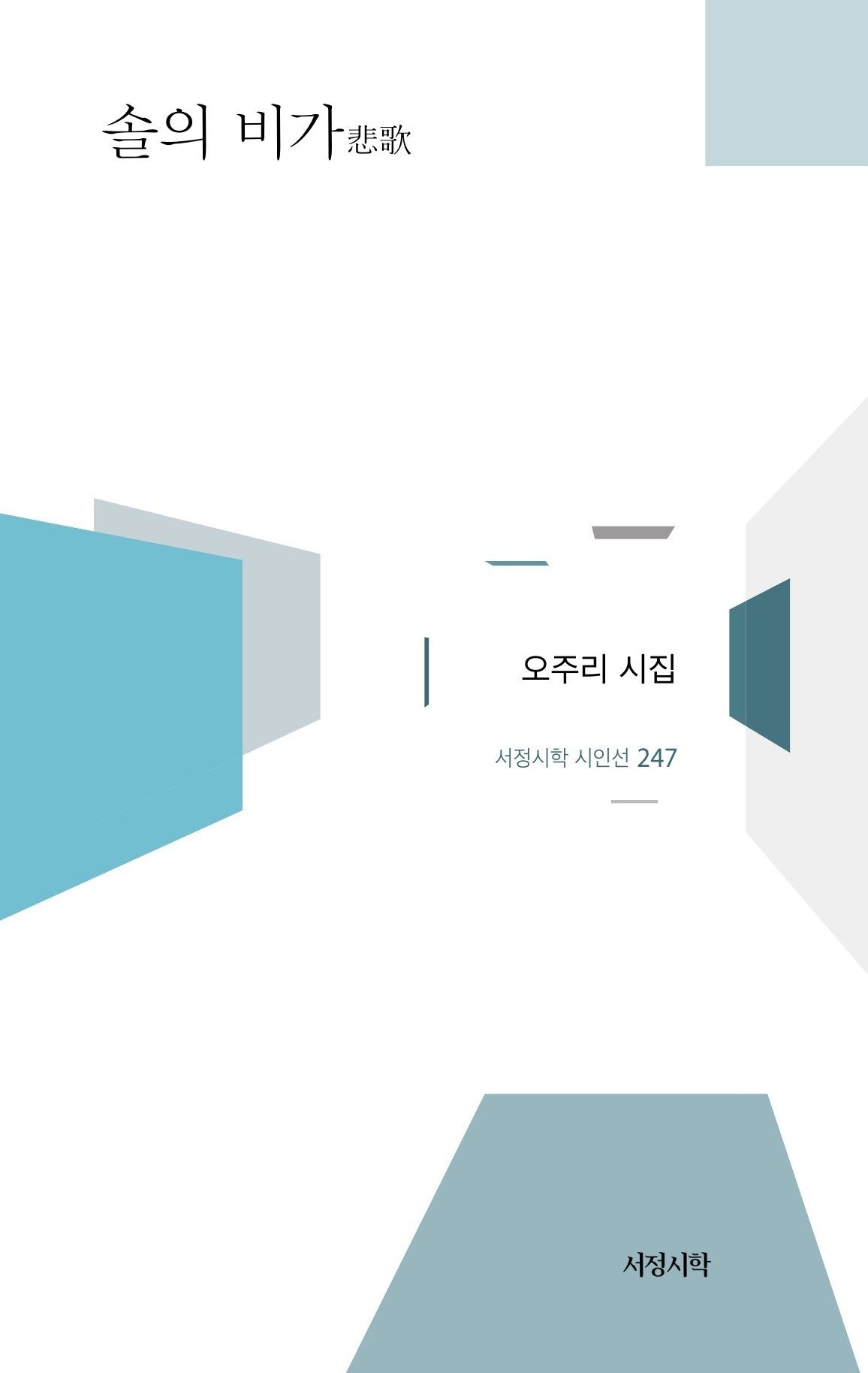 솔의 비가(서정시학 시인선 247)