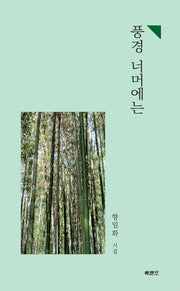 풍경 너머에는
