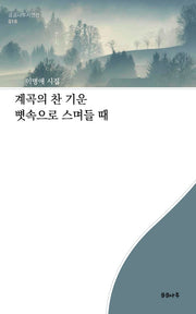 계곡의 찬 기운 뼛속으로 스며들 때(곰곰나루시인선 16)