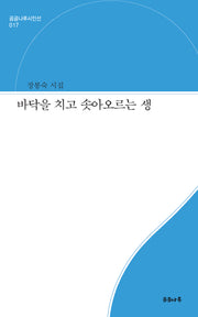 바닥을 치고 솟아오르는 생(곰곰나루시인선 17)