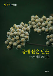 몸에 붙은 말들-말이 나를 만든 시간