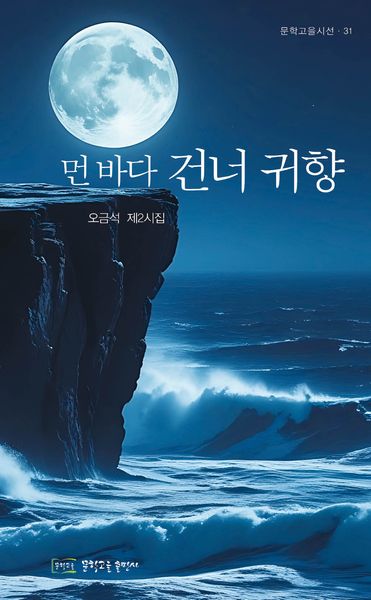 먼 바다 건너 귀향(문학고을시선 31)